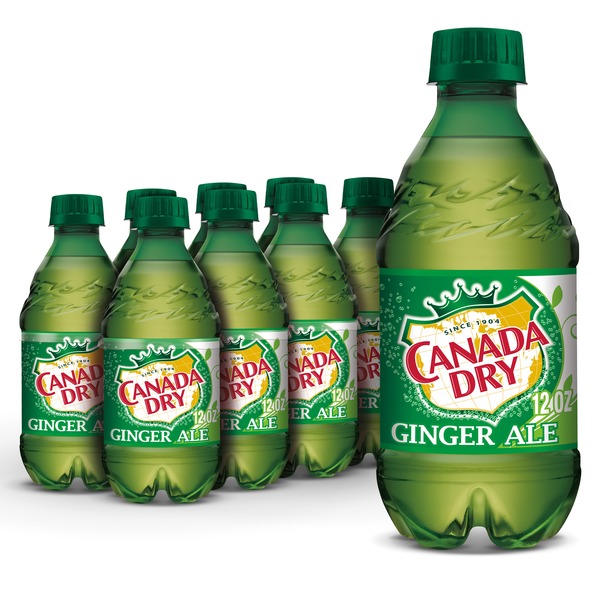 Soft Drinks Canada Dry Ginger Ale hero