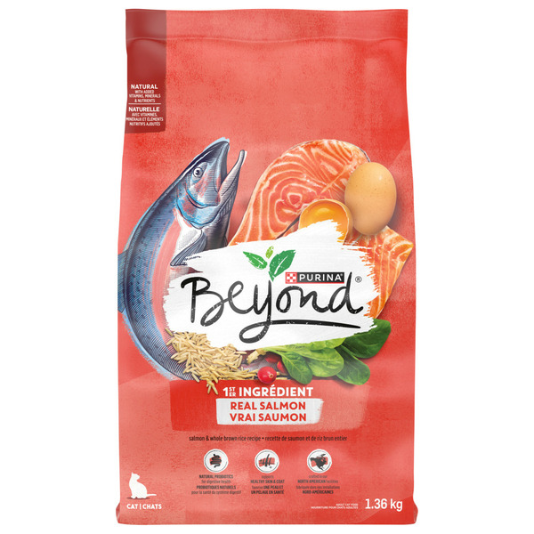 Cat Food & Care Beyond Simply Salmon & Whole Brown Rice Recipe hero