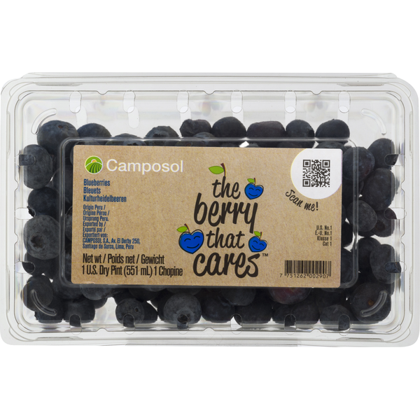 Packaged Vegetables & Fruits Camposol Blueberries hero