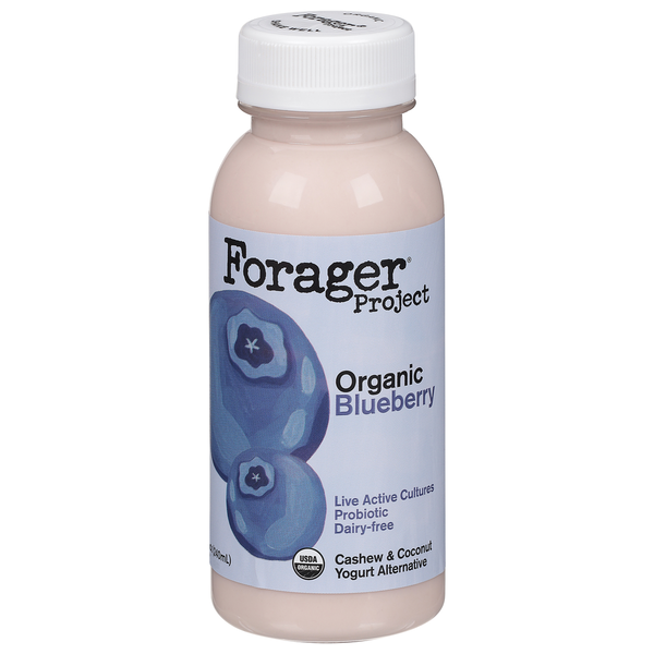 Other Creams & Cheeses Forager Project Yogurt Alternative, Dairy-Free, Organic, Blueberry, Probiotic hero