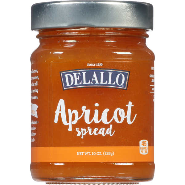 Preserved Dips & Spreads DeLallo Spread, Apricot hero