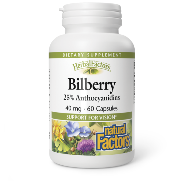 Eye & Ear Care Natural Factors Bilberry Extract hero