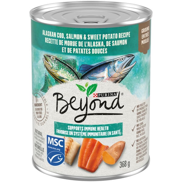 Dog Food & Care Beyond Alaskan Cod, Salmon & Sweet Potato Recipe hero