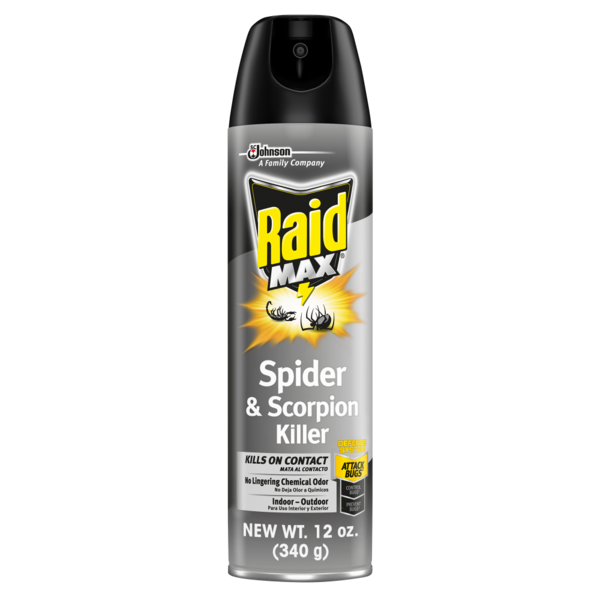 More Household Raid® MAX Spider & Scorpion Killer, Indoor & Outdoor Spider and Scorpion Spray hero