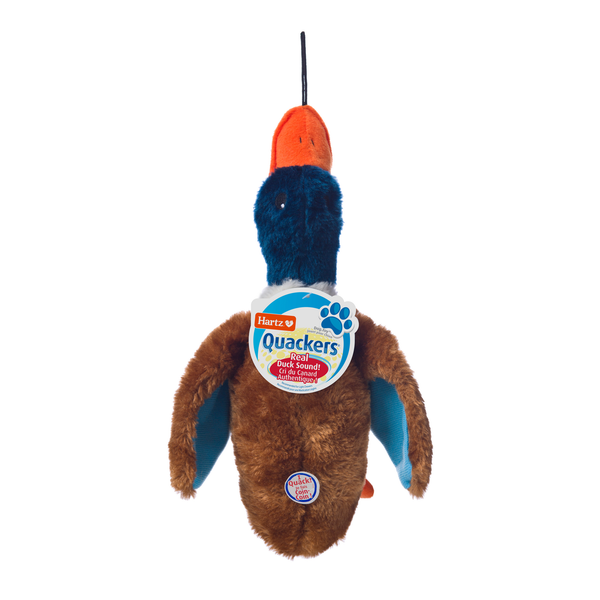 Dog Food & Care Hartz Nature's Collection Quakers Dog Toy, Color Will Vary hero