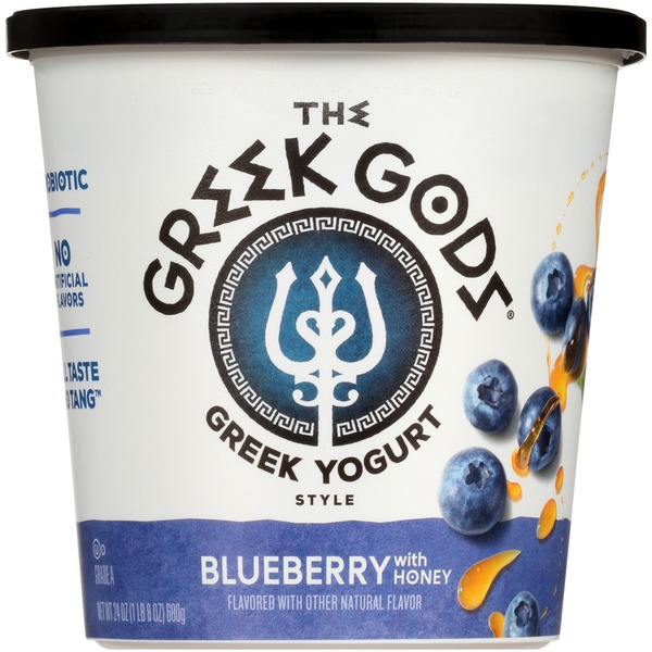 Yogurt Greek Gods Blueberry with Honey Greek Style Yogurt hero