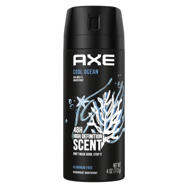 Deodorants AXE Dual Action Body Spray Deodorant Cool Ocean hero