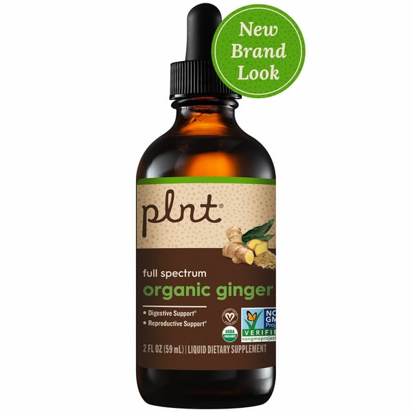 Plnt Organic Ginger Liquid hero