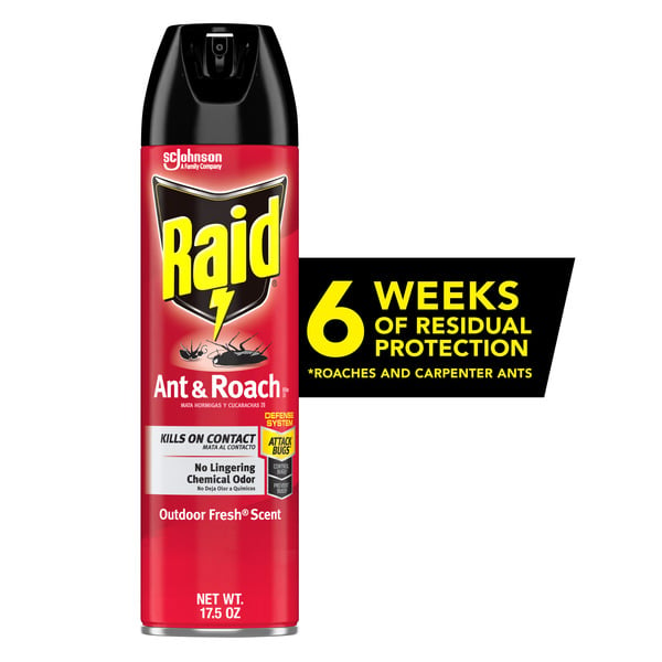 Insect and Pest Protection Raid Ant and Roach Killer Insecticide Aerosol Spray, Outdoor Fresh® Scent hero