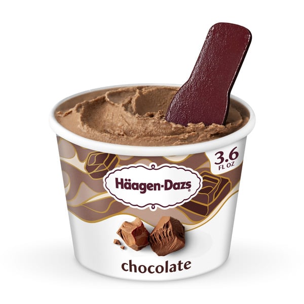 Ice Cream & Ice Haagen-Dazs Chocolate Ice Cream hero