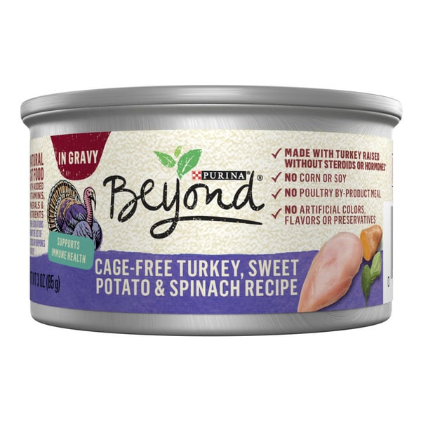 Cat Food & Care Purina Beyond Cage-Free Turkey, Sweet Potato and Spinach Recipe In Wet Cat Food Gravy hero