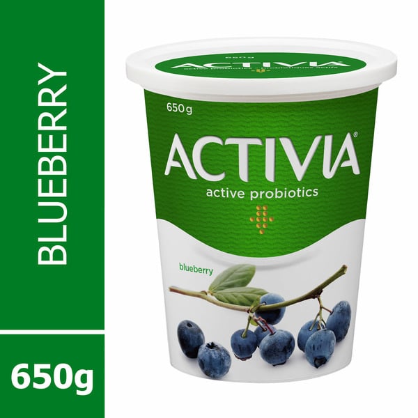 Yogurt Activia Yogurt With Probiotics, Blueberry Flavour hero