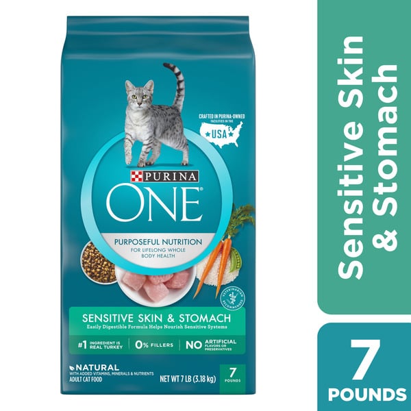 Cat Food Purina ONE Natural Dry Cat Food, Sensitive Skin & Stomach Formula hero