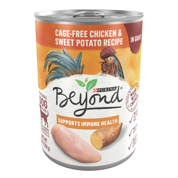 Purina Beyond Chicken and Sweet Potato in Gravy Grain Free Wet Dog Food hero