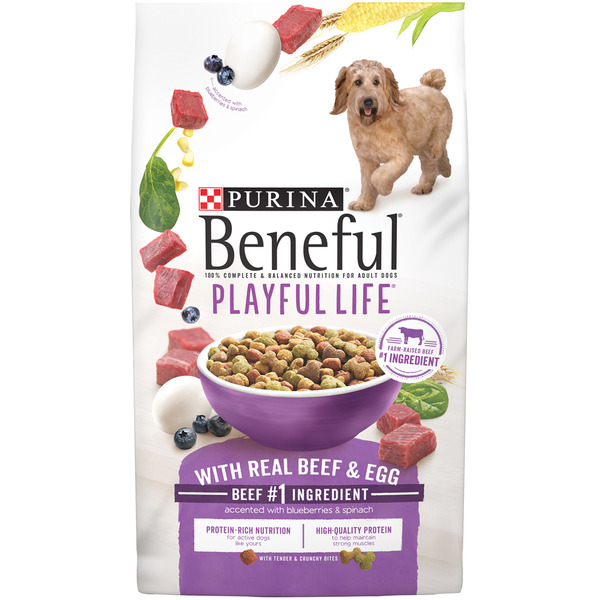 Dog Food & Care Purina Beneful Dry Dog Food, Playful Life With Real Beef & Egg Accented With Blueberries & Spinach hero