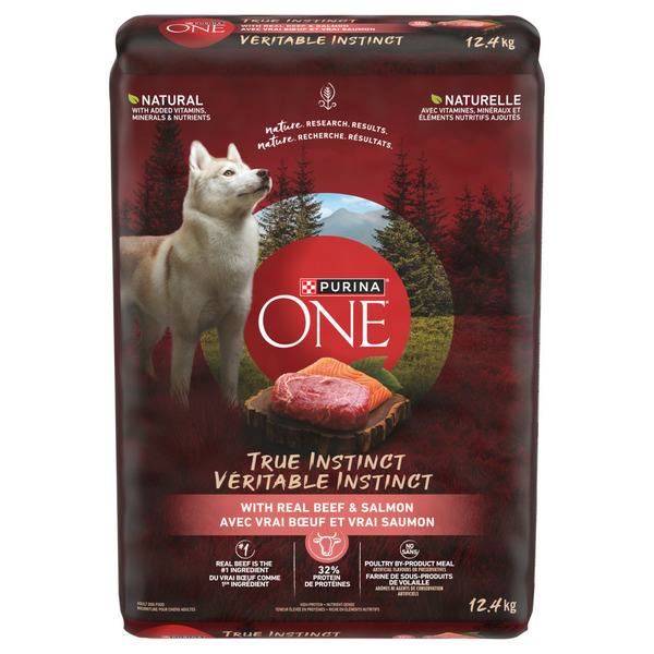 Dog Food & Care Purina ONE True Instinct Beef & Salmon hero