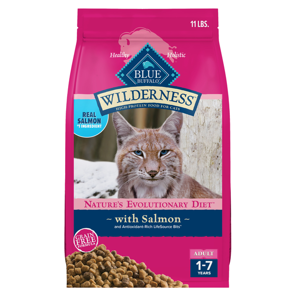 Blue Buffalo Wilderness High Protein, Natural Adult Dry Cat Food, Salmon hero