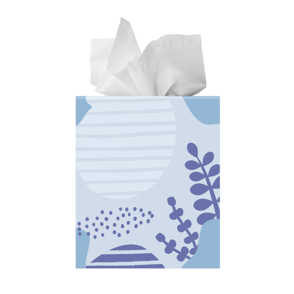 Paper Goods Fiora Facial Tissue, 2 ply hero