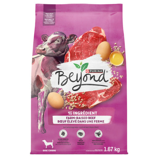 Dog Food & Care Beyond Simply Farm-Raised Beef, Barley & Free Run Egg Recipe hero