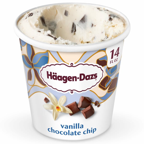 Ice Cream & Toppings Haagen-Dazs Vanilla Chocolate Chip Ice Cream hero