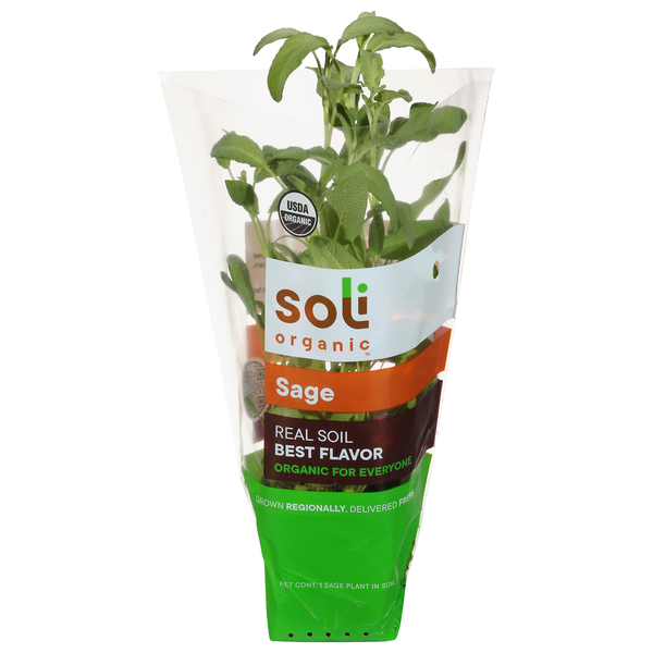 Fresh Herbs Soli Organic Sage hero