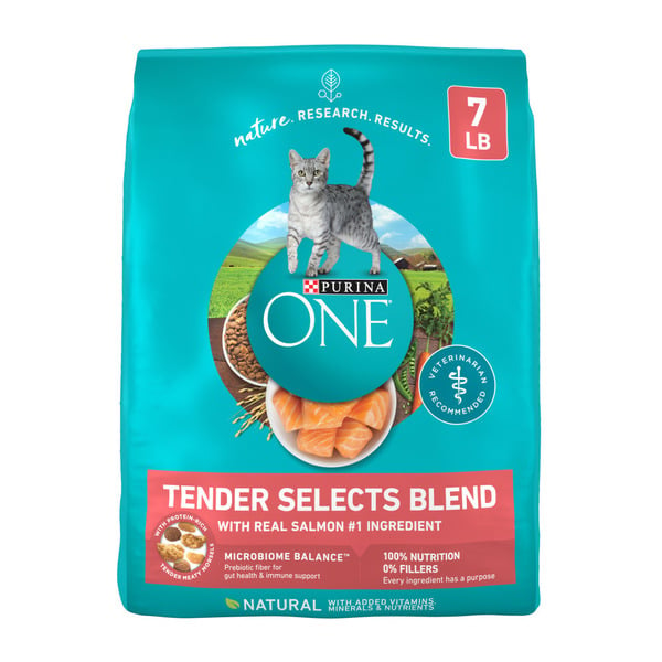 Cat Food Purina ONE Natural Dry Cat Food, Tender Selects Blend With Real Salmon hero