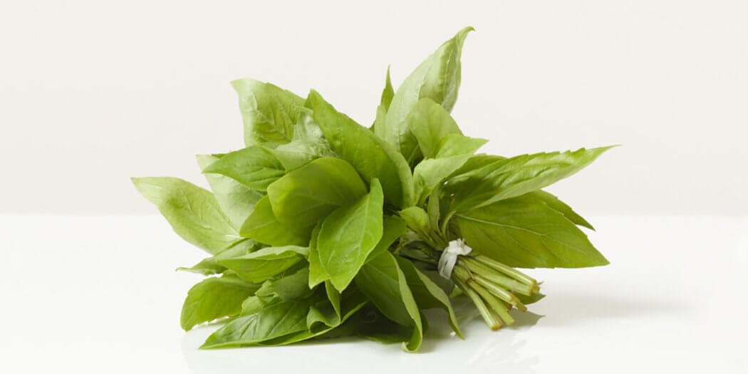 Basil – All You Need to Know | Instacart Guide to Fresh Produce