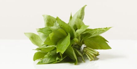 Basil - All You Need to Know | Instacart Guide to Fresh Produce