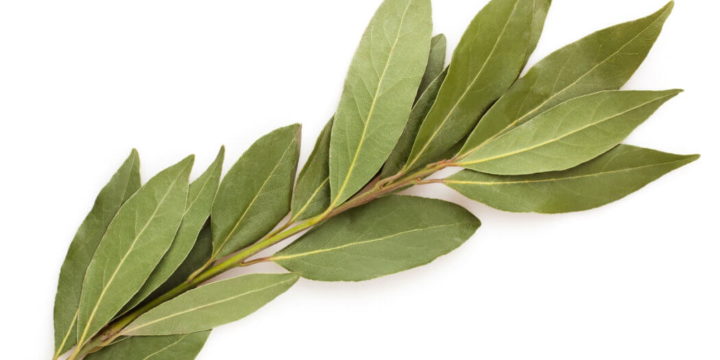 Bay Leaves – All You Need to Know | The Instacart Guide to Fresh Produce