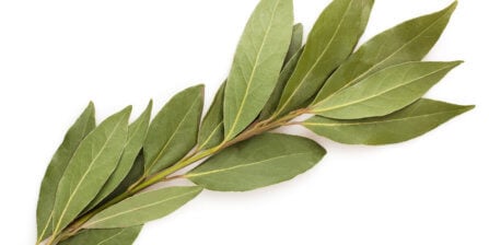 Bay Leaves - All You Need to Know | The Instacart Guide to Fresh Produce