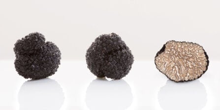 Black Truffles - All You Need to Know | The Instacart Guide to Fresh Produce