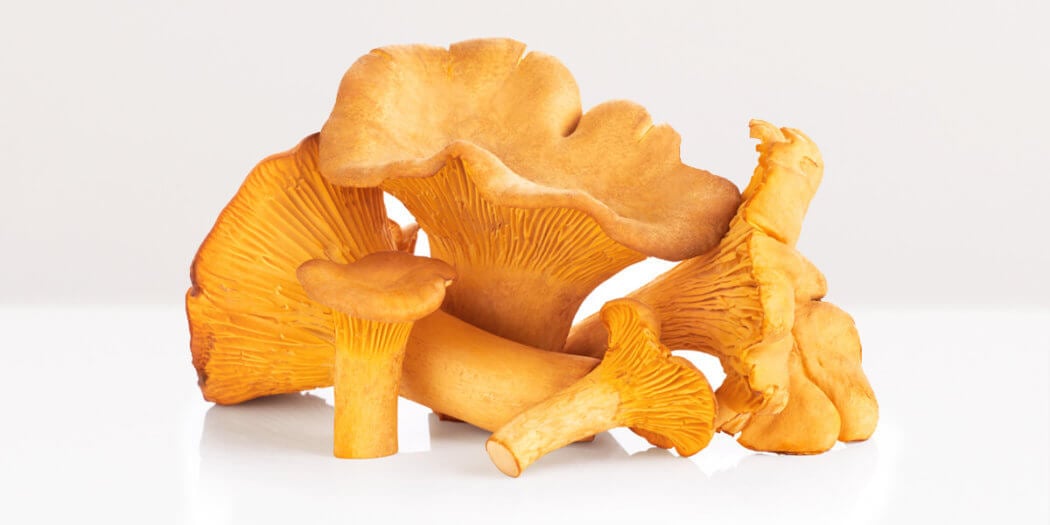 Chanterelle Mushrooms – All You Need to Know | Instacart Guide to Fresh Produce