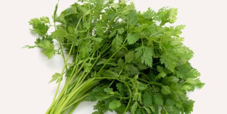 Chervil – All You Need to Know | Instacart Guide to Fresh Produce