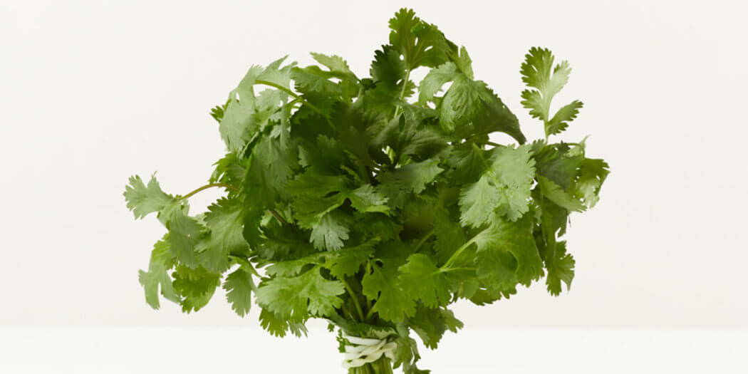 Cilantro – All You Need to Know | Instacart Guide to Fresh Produce