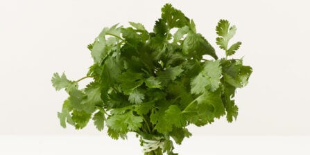 Cilantro – All You Need to Know | Instacart Guide to Fresh Produce