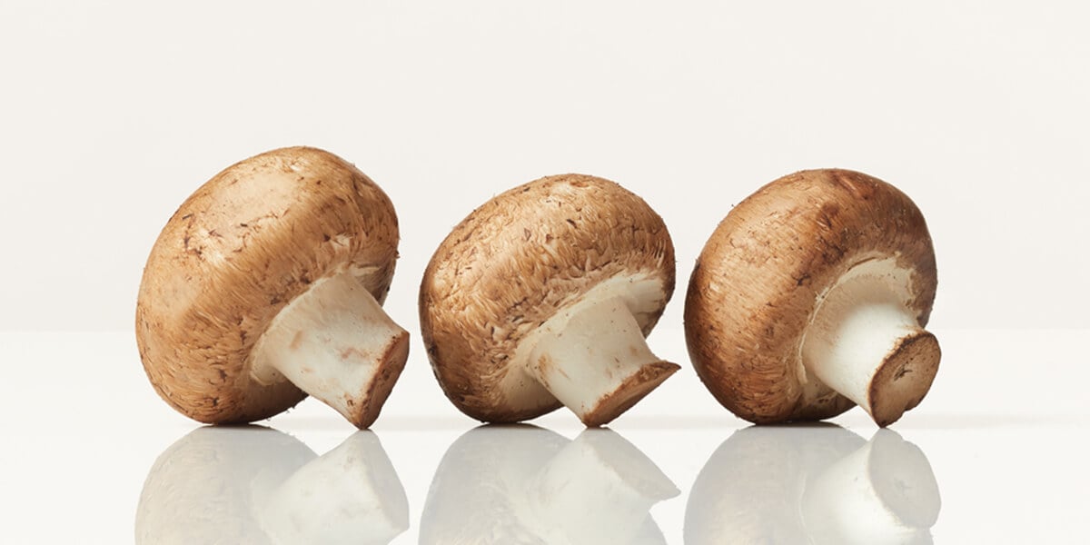 The Complete Guide to Paddy Straw Mushrooms