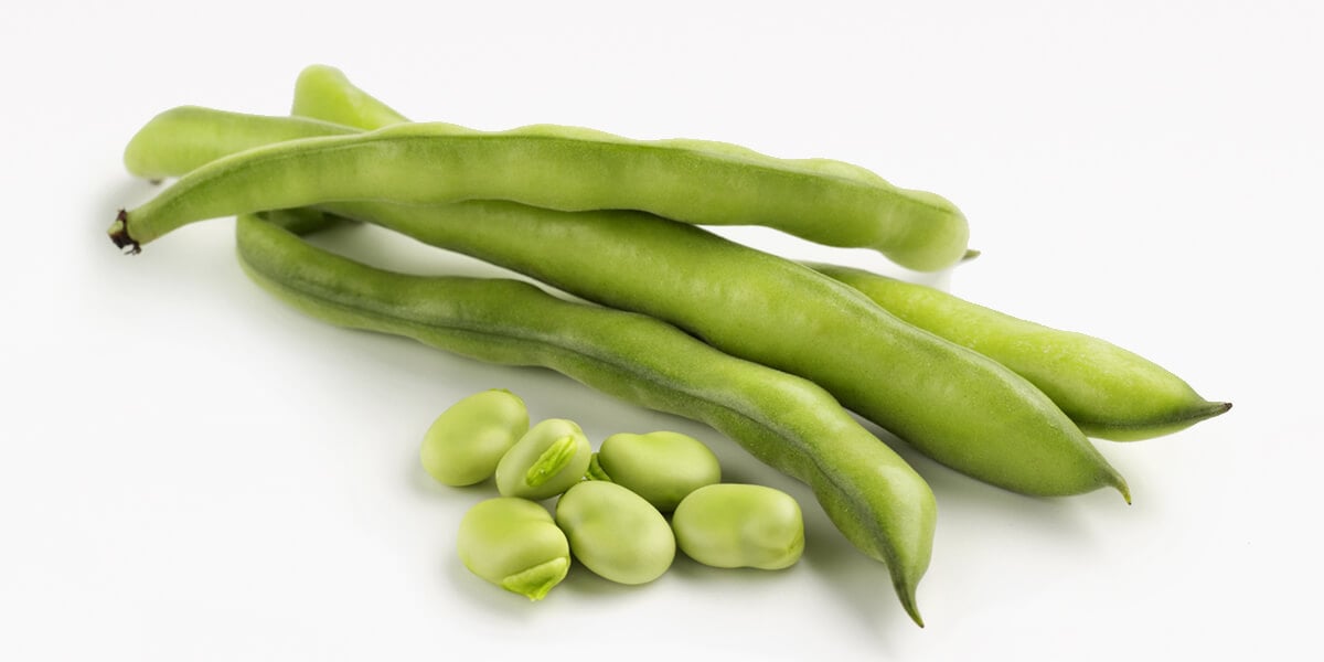 Fava Beans - All You Need to Know | Instacart Guide to ...