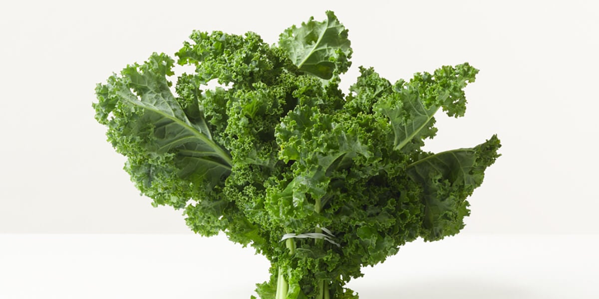 How to tell if kale has gone bad?