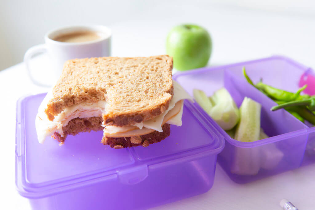 21 Healthy Lunch Ideas for Toddlers
