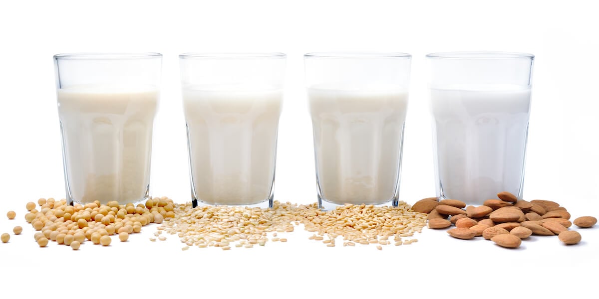Different Types of Milk: Dairy & Plant-Based Milk Guide – Instacart