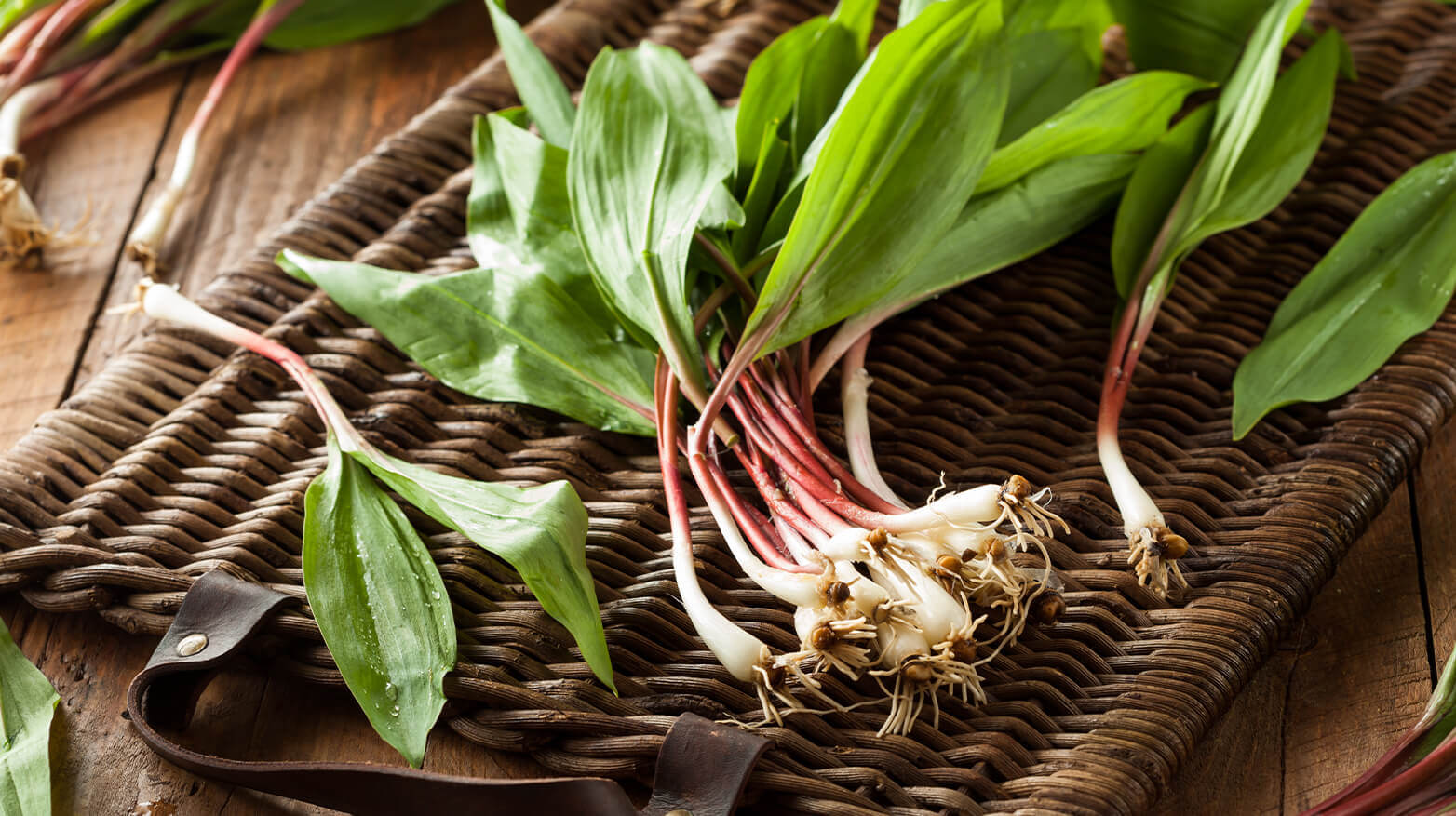 Bundle of fresh ramps