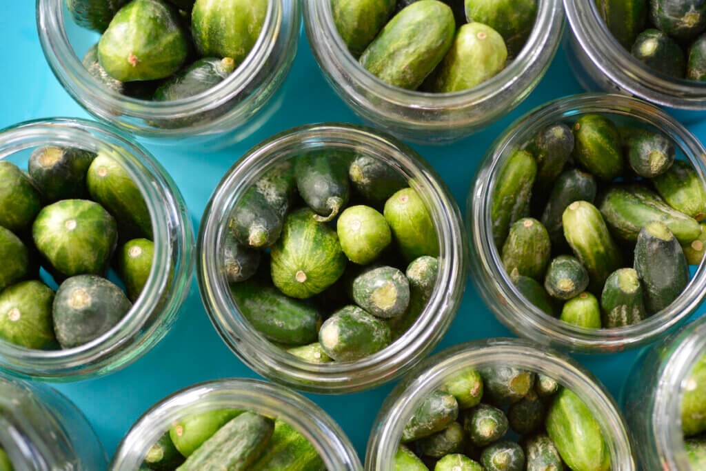 Cucumbers in a jars - preparing pickles - top view