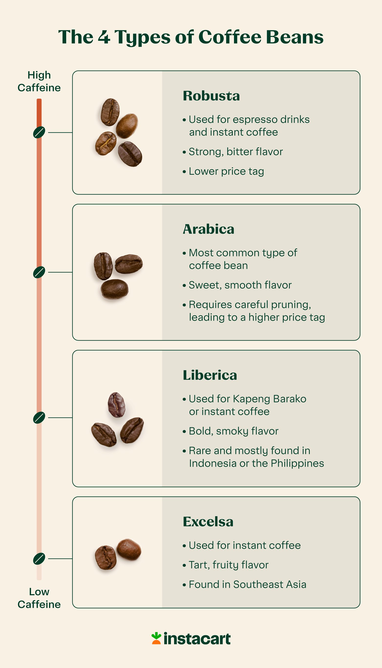 What Are The Main Types Of Coffee Beans And What's The Difference ...