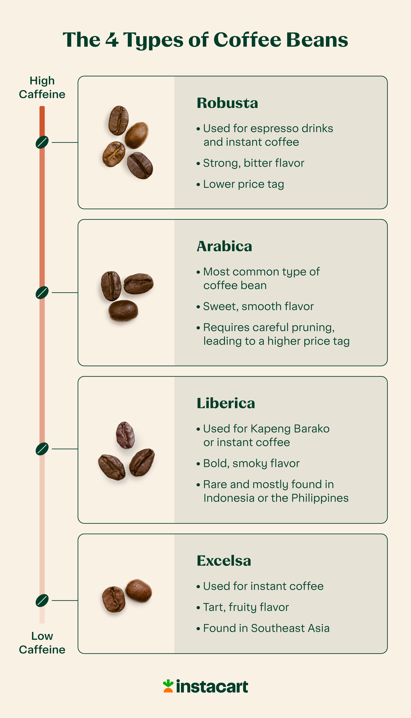 Espresso Beans Vs Coffee Beans What s The Difference 