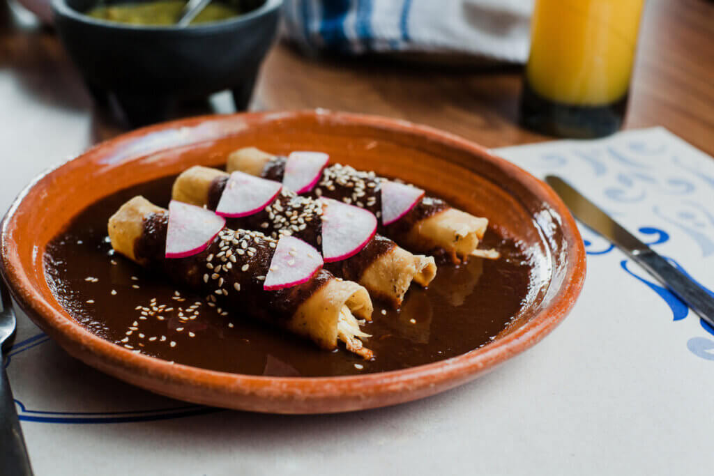 Envueltos de mole poblano or enchiladas with chicken, traditional mexican food in Mexico City