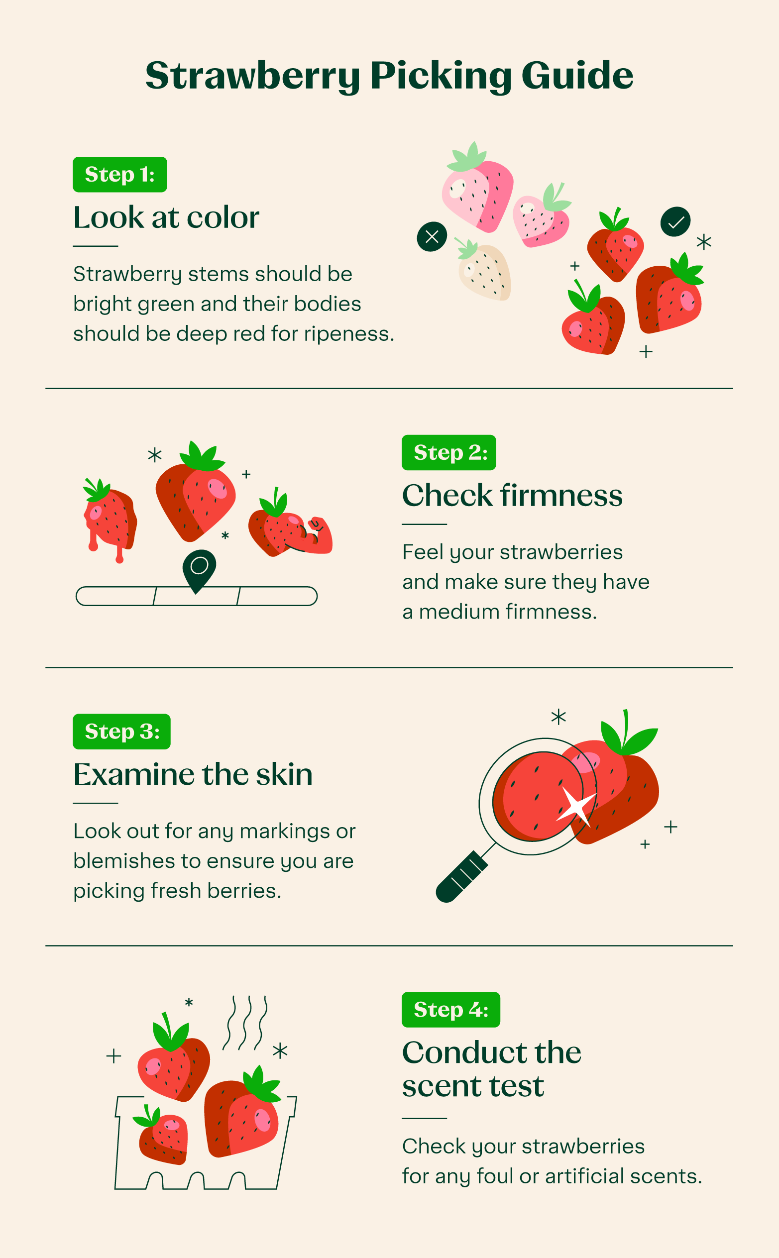 The Ultimate Guide to Strawberry Picking Season in NJ! Best Pick