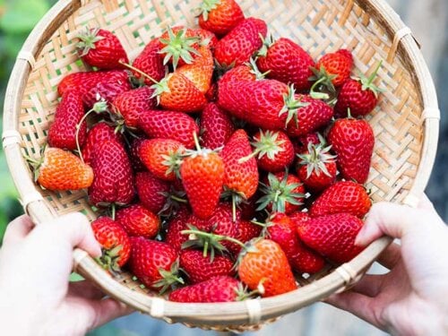 Fresh Strawberry Jam