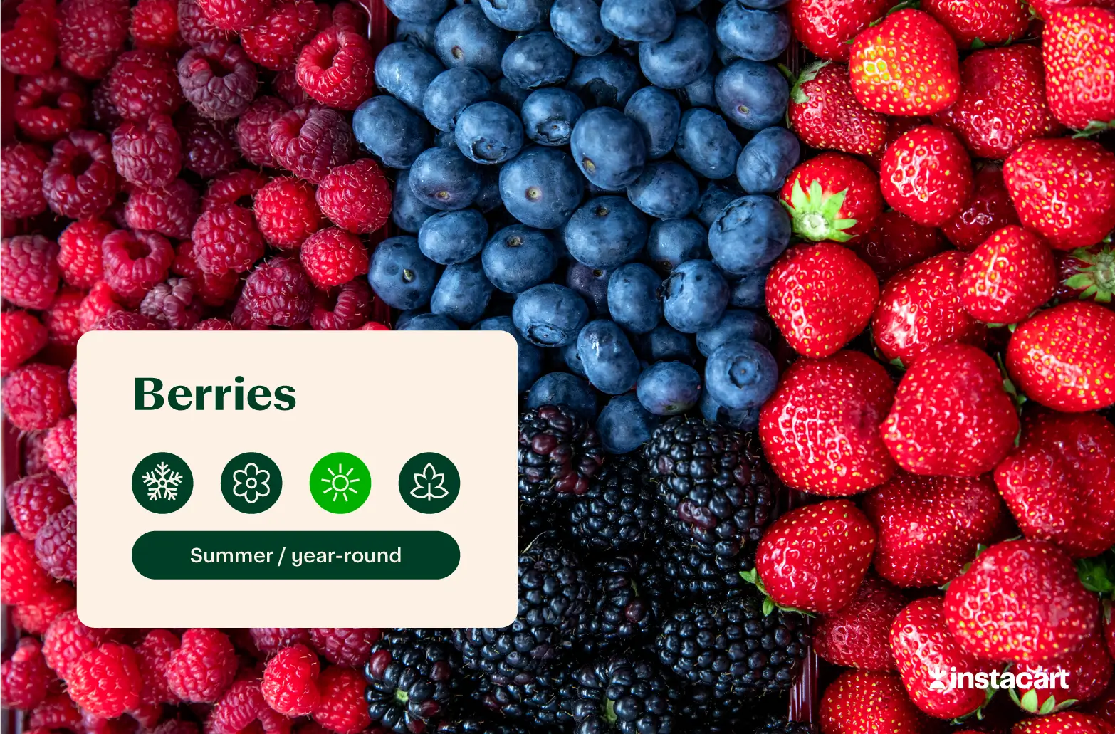 Large group of blueberries, strawberries, raspberries, cranberries and blackberries