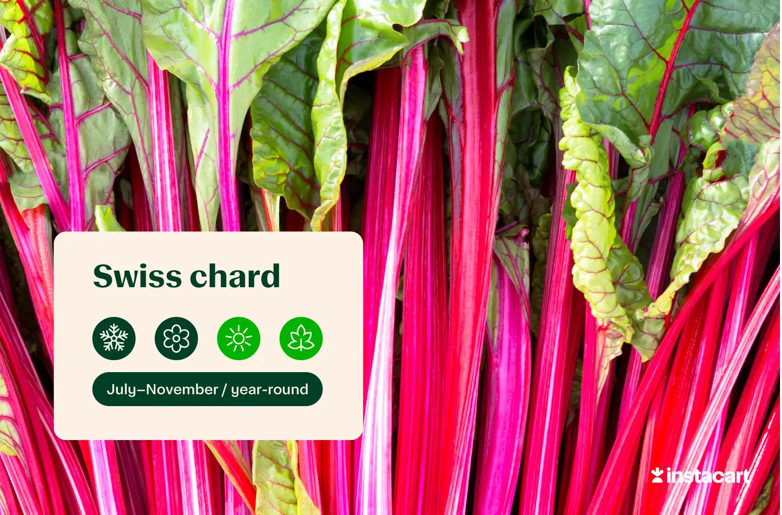 Ribbed and stemmed Swiss chard with green leaves arranged together.