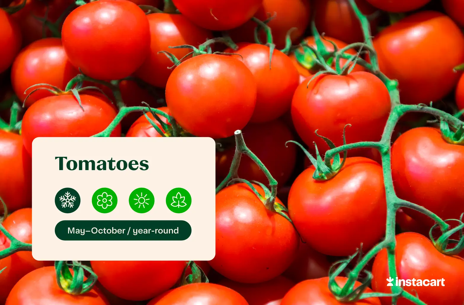 Red tomatoes of different sizes